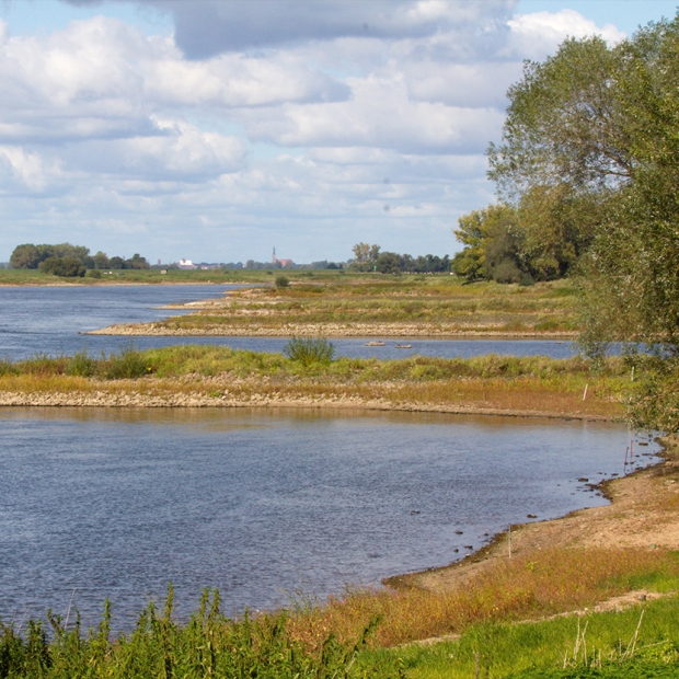 Buhnen an der Elbe